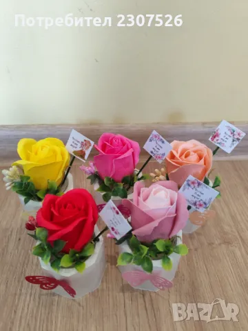 Кашпи с рози, снимка 10 - Подаръци за рожден ден - 49093423