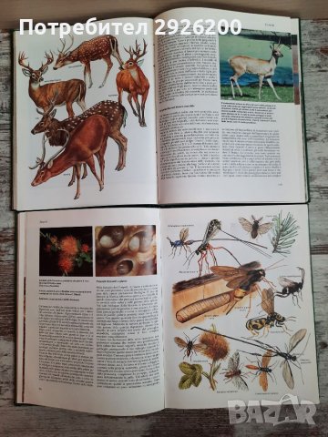 ЕНЦИКЛОПЕДИЯ ЗА ЖИВОТНИ 5БР., снимка 15 - Енциклопедии, справочници - 38065436