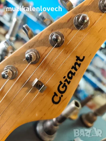 Електрическа китара C.Giant Strat / Stratocaster тип – черна, снимка 2 - Китари - 55720482