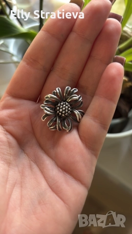 Търся тази обеца. Загубих другата. 