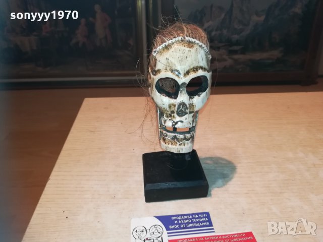 ЧЕРЕП НА СТОЙКА 20Х10Х10см 1311201933, снимка 5 - Колекции - 30778872