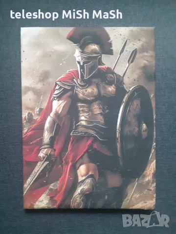 Нова картина платно на дървена рамка със Спартански войн 