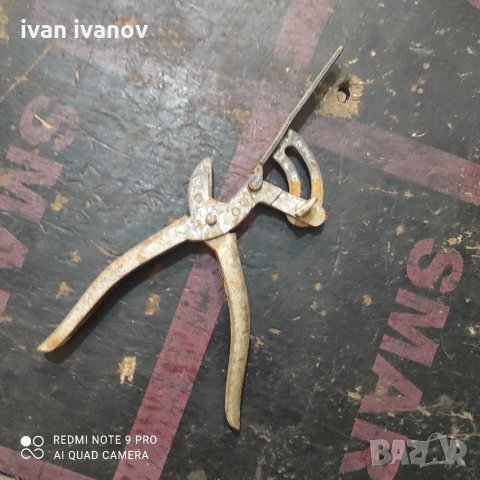 Чепраз за Ленти