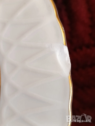 Порцелан за допълване , мрежеста Изида (чинии и супник), снимка 5 - Сервизи - 42463741