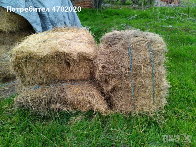 Бали Сено, снимка 2 - За селскостопански - 53996361
