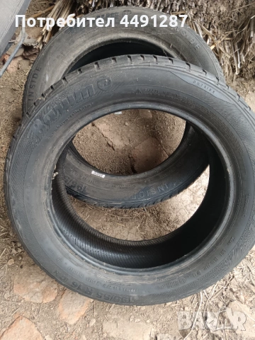 Bäume 195/55/16, снимка 5 - Гуми и джанти - 54150211