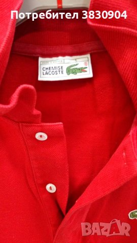 Поло шърт Lacoste, L, 100% памук, снимка 4 - Тениски - 42195621