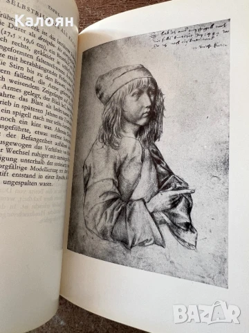 Книга за Албрехт Дюрер - акварели и рисунки на немски , снимка 6 - Специализирана литература - 51009336