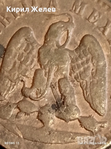 Рядка монета 1 сентаво 1891г. Мексико за КОЛЕКЦИОНЕРИ 53200, снимка 7 - Нумизматика и бонистика - 53122180
