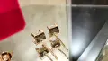 CARTIER C de Cartier Rose Gold Stud Diamond Дамски Обеци, снимка 9