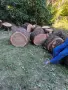 Дъб дърва за огрев 6 куб. плътно, снимка 4