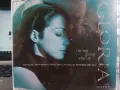 Gloria Estefan аудио дискове, снимка 5