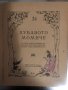 Хубавото момиче Елисавета Консулова-Вазова, снимка 2