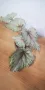 Бегония рекс "Асиан Тундра" (Begonia Rex "Asian Tundra") , снимка 2