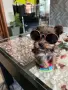 Чистокръвно мини йорки с доказан произход!!!, снимка 2
