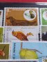 Пощенски марки смесени от цял свят ЖИВОТНИ за КОЛЕКЦИЯ 22615, снимка 6