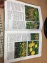 Цветна Енциклопедия - A-Z of perennials -Successful Gardening, снимка 7