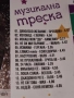SD Payner Музикална треска, снимка 14