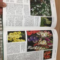 Енциклопедия A-Z of Annuals, Biennials & Bulbs (Successful Gardening), снимка 10 - Енциклопедии, справочници - 30873162