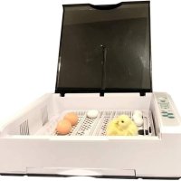 Автоматичен инкубатор 36 яйца + подаръци - реф. код - 7, снимка 7 - Други стоки за животни - 42591391