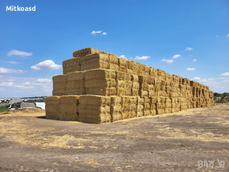 Слама пшенична 2025 покрита, снимка 1