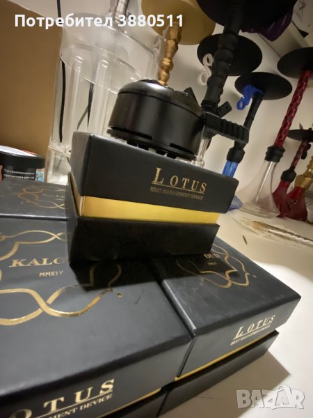 Kaloud lotus , снимка 1