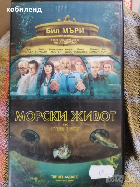 Морски живот, снимка 1