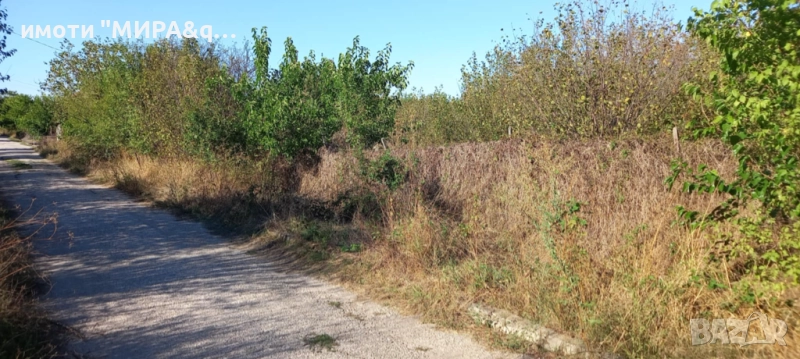 ПАРЦЕЛ/УПИ в с. Книжовник, обл. Хасково, снимка 1