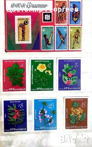 Класьор с марки 284 бр., снимка 10 - Филателия - 48119407