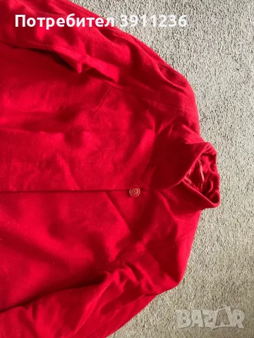 Палто, снимка 2 - Палта, манта - 49034568