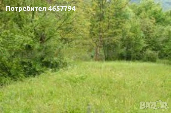 УПИ в Маноле! 