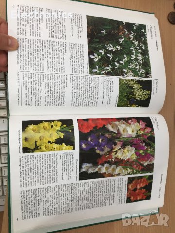 Енциклопедия A-Z of Annuals, Biennials & Bulbs (Successful Gardening), снимка 10 - Енциклопедии, справочници - 30873162