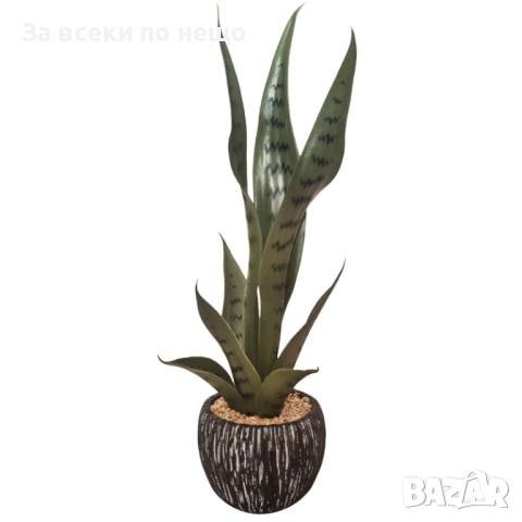 Декоративно растение – сансивиера в кашпа, 46 см Код P1523