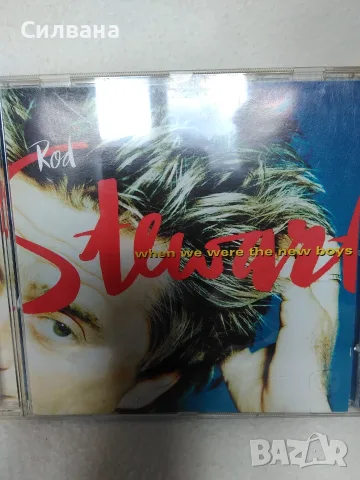When We Were The New Boys - R.Stewart