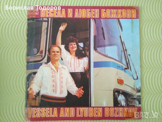 Продавам големи и малки плочи, снимка 3 - Грамофонни плочи - 50244818