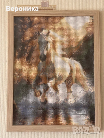 диамантен гоблен " Свободен кон"