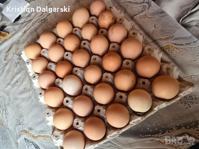 Продавам домашни яйца, снимка 3 - Домашни продукти - 53889355