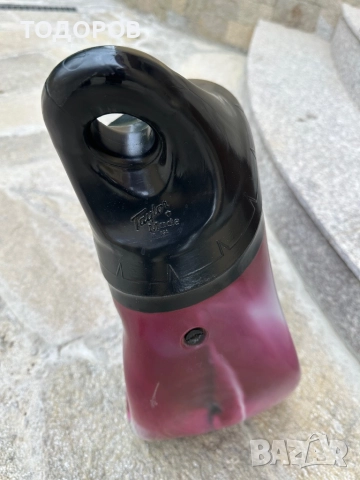 Боксова круша ,водна, снимка 3 - Бокс - 51951274