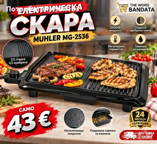 Електрическа скара