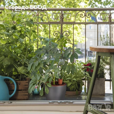 ОВЛАЖНИТЕЛ ЗА САКСИЯ, снимка 3 - Напояване - 51042425