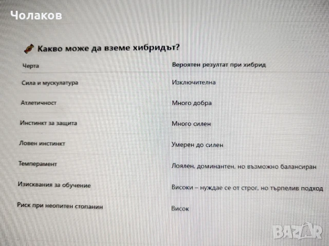 Presa argentino , снимка 9 - Дого аржентино - 50600443
