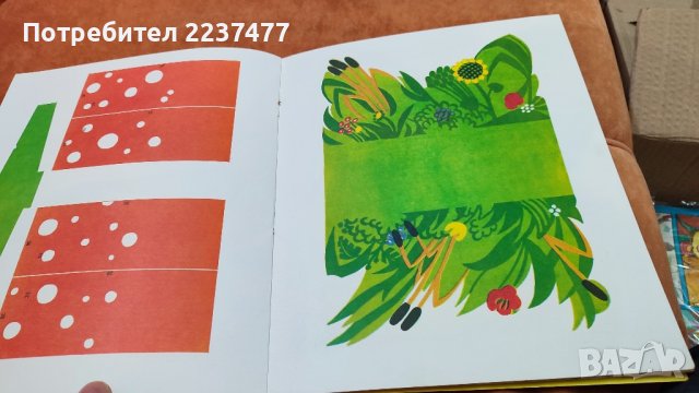 списание чуден свят брой 1, снимка 5 - Списания и комикси - 44278250