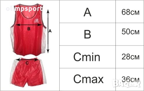 Баскетболен екип Мaxi, синьо-бяло с номера на гърба от 4 до 13. Центата е за комплект от 10 екипа., снимка 2 - Баскетбол - 31989954