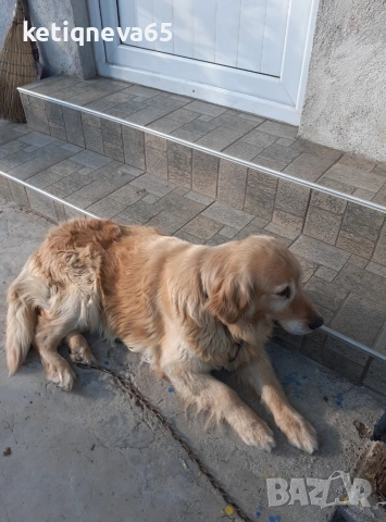 къща, снимка 16 - Къщи - 53365730