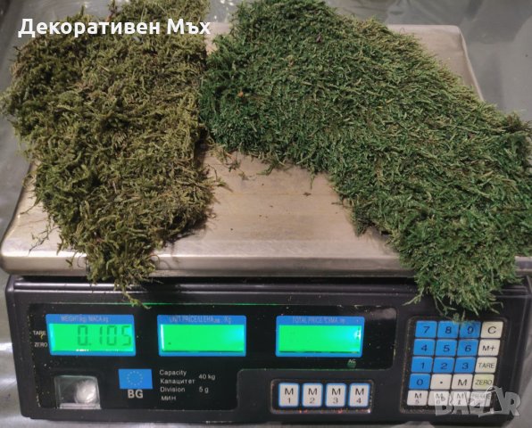 Промоция - декоративен плосък стабилизиран скандинавски естествен мъх., снимка 9 - Декорация за дома - 35451895
