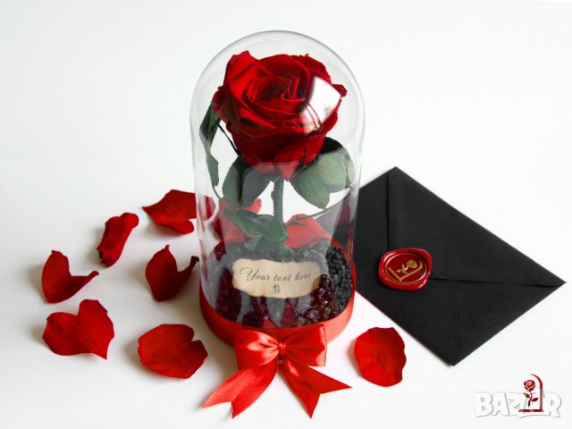 Оригинален Подарък за Рожден Ден на Жена / Естествена Вечна Роза в Стъкленица / Жива Вечна Роза, снимка 11 - Подаръци за имен ден - 38771445