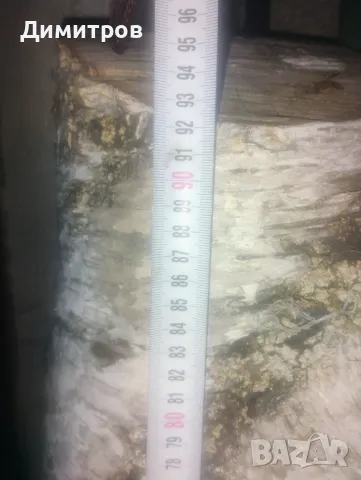 броя брезови трупи с красива бяла кора – за декорация и дизайн Описание:, снимка 11 - други­ - 50169517