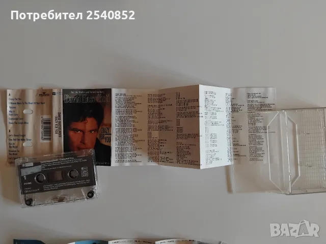 Касети и Vinil наDavid Hasselhoff , снимка 4 - Аудио касети - 56132633
