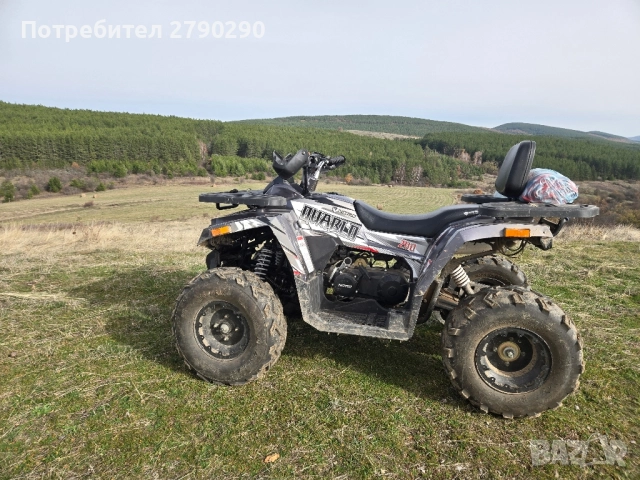 ATV Quablo RS10 200cc, снимка 8 - Мотоциклети и мототехника - 50982997