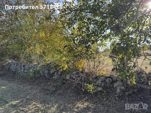 Парцел от собственик!С.Неново, снимка 10 - Парцели - 56488417